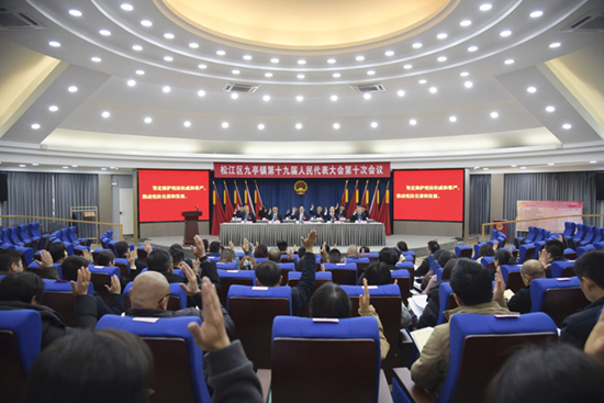 九亭镇召开第十九届人民代表大会第十次会议照片.jpg