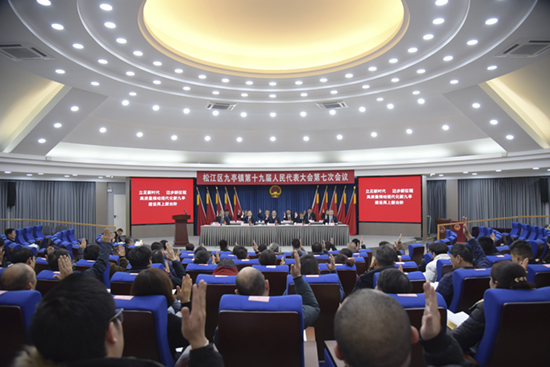 九亭镇召开第十九届人民代表大会第七次会议照片.jpg