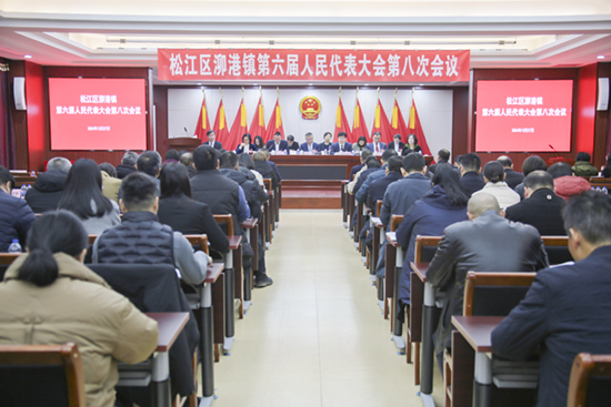 泖港镇第六届人民代表大会第八次会议召开照片.jpg