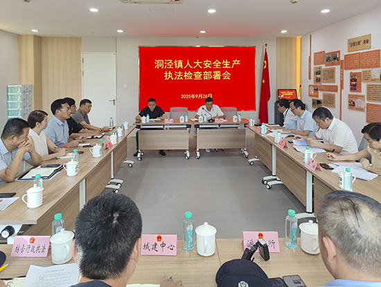 洞泾镇人大开展安全生产执法检查活动照片01.jpg